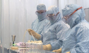 Le groupe d’entreprises BioCubaFarma mobiliser ses capacités pour étendre, dans les prochaines semaines, la vaccination à plus de 150 000 personnes. Cette démarche s’inscrit dans une campagne d’immunisation massive, tandis que l'essai clinique avec Sobera