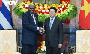 viet