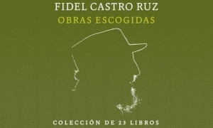 dispo